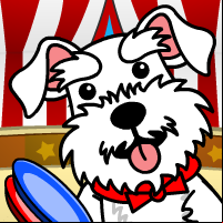Circus Dog!