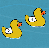 Duck Race