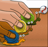 Snail Racing Timer