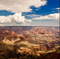 Desert Sounds